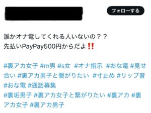 おな電　paypay 画像
